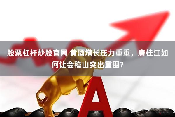 股票杠杆炒股官网 黄酒增长压力重重，唐桂江如何让会稽山突出重围？