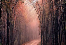 股票配资门户网登录:配资炒股软件论坛-中国军队装备已NextLevel！DF61导弹、歼20S震撼亮相 还有机器狼、无人潜航器、高能激光武器 东风5C打击范围覆盖全球